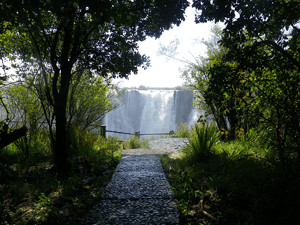 Professional Japanese Translators: Mosi-oa-Tunya