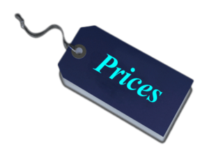 Professional Japanese Translation - Pricing