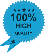 Professional Japanese Translation - Quality